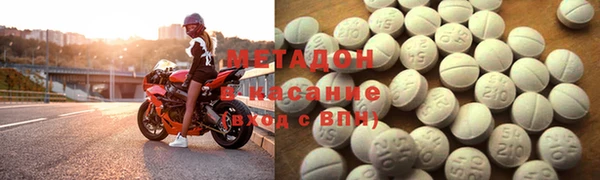 прущие грибы Бородино