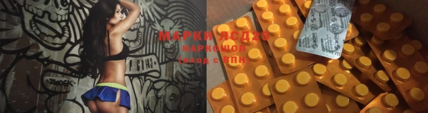 стаф Бугульма