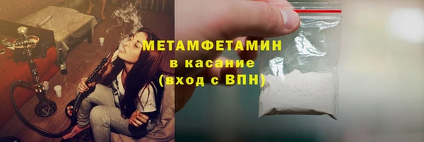 прущие грибы Бородино