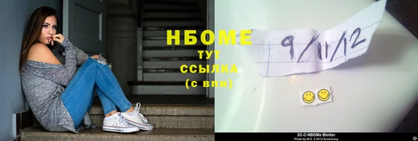 прущие грибы Бородино