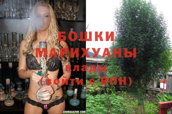герыч Бронницы