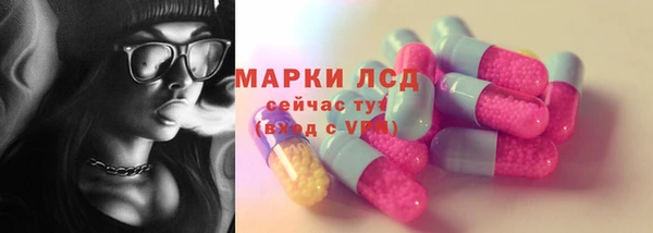 прущие грибы Бородино