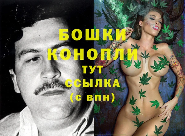 герыч Бронницы
