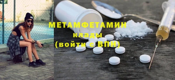 прущие грибы Бородино