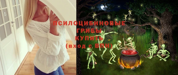 стаф Бугульма