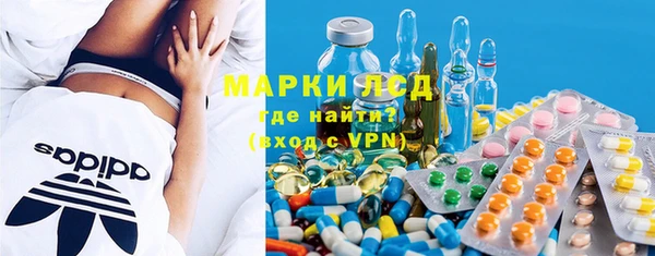 прущие грибы Бородино