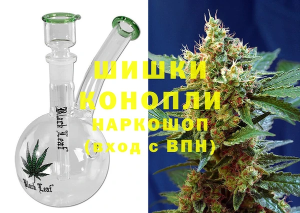 прущие грибы Бородино